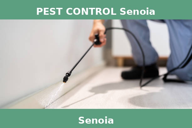 PEST CONTROL Senoia